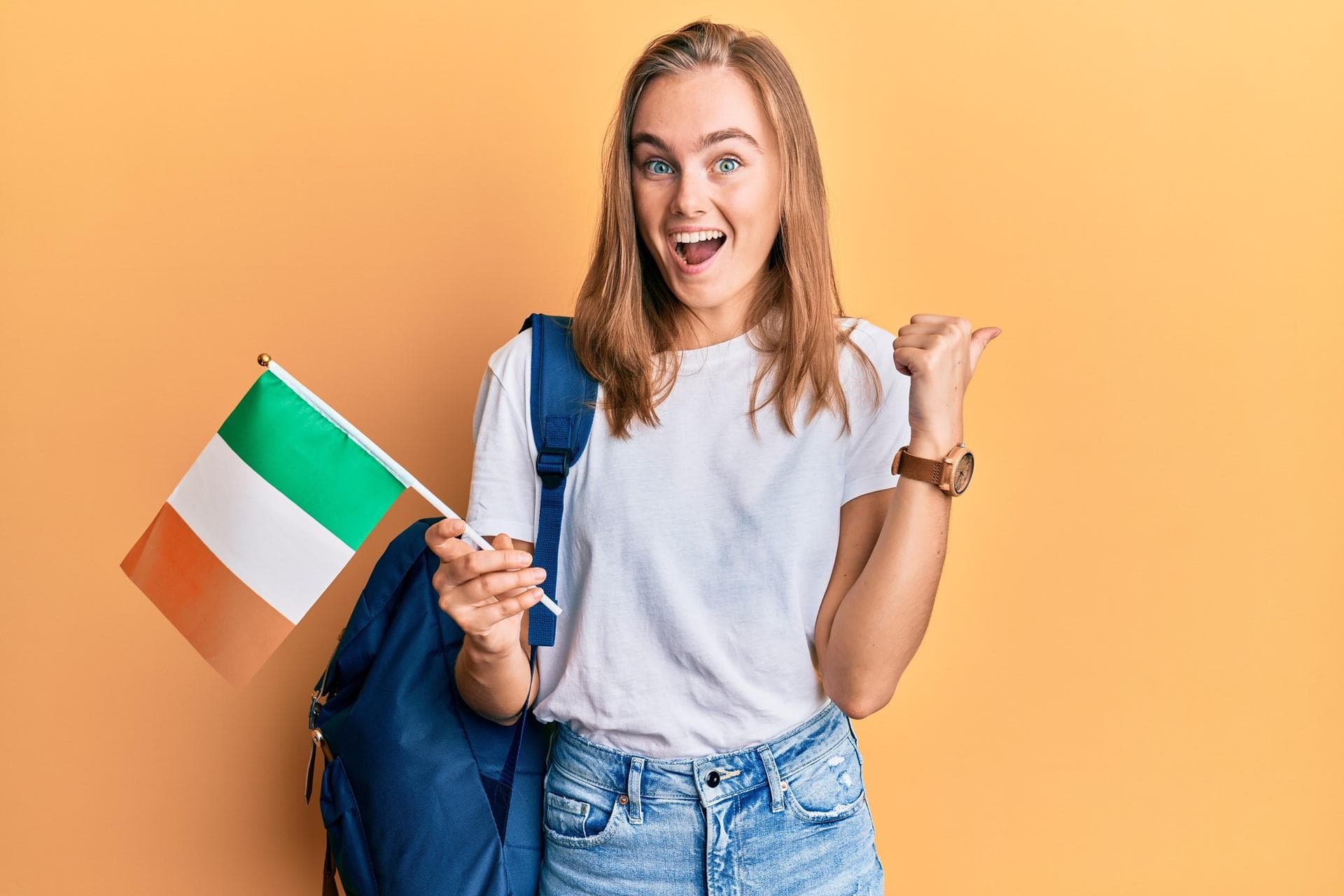 Año escolar en el extranjero